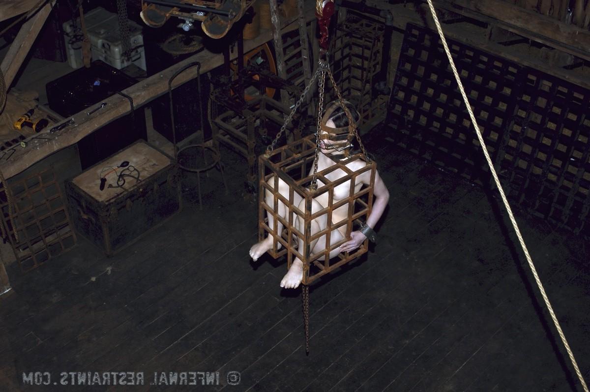 14P Felonie is confined in a small metal cage for hours, while relentlessly being po
