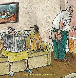 25P FUNNY TOONS 6