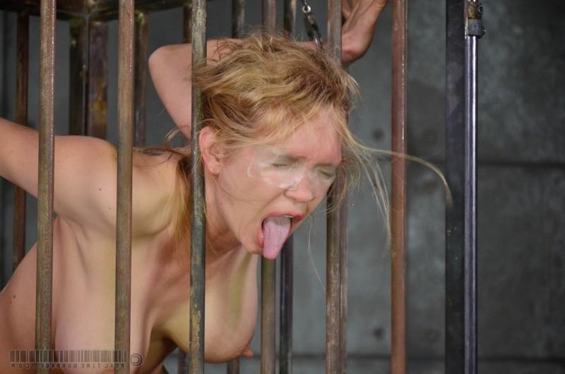 16P Rain DeGrey is put in a metal cage and pussy vibrated to orgasm