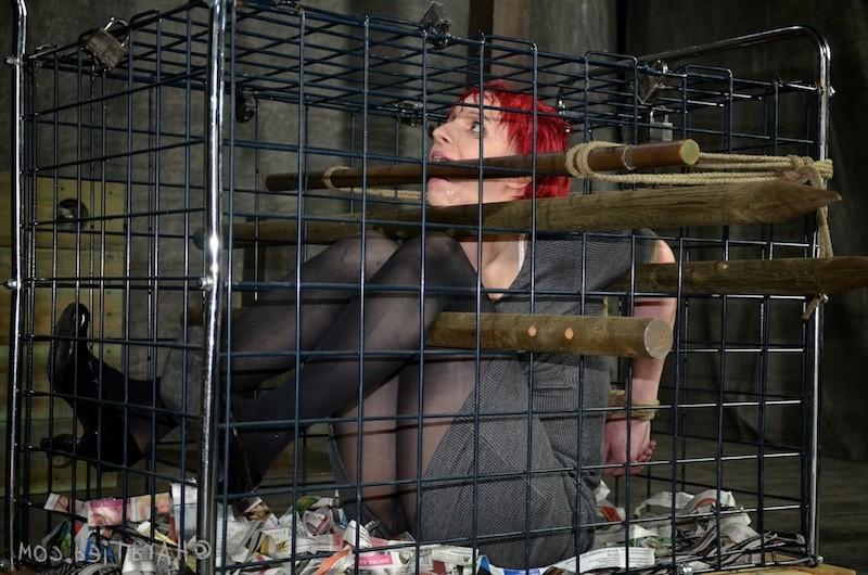 16P Claire Adams is no stranger to the trials of being in a cage. Being uncomfortab