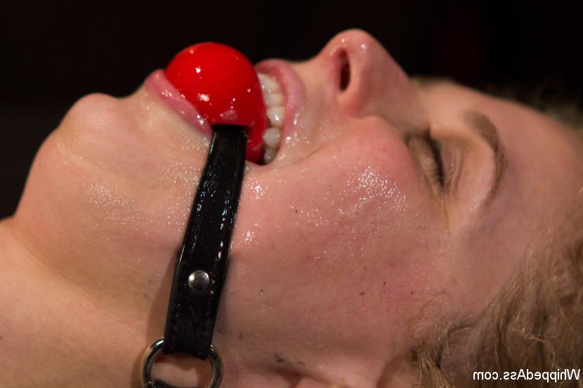 15P Lesbian bondage porn