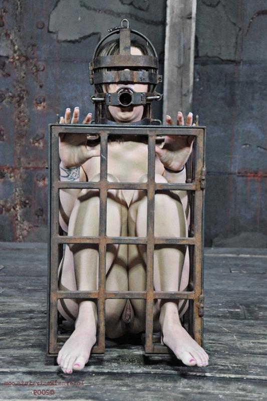 16P PD broke out his bitch cage again to teach this cunt vikki how to be polite