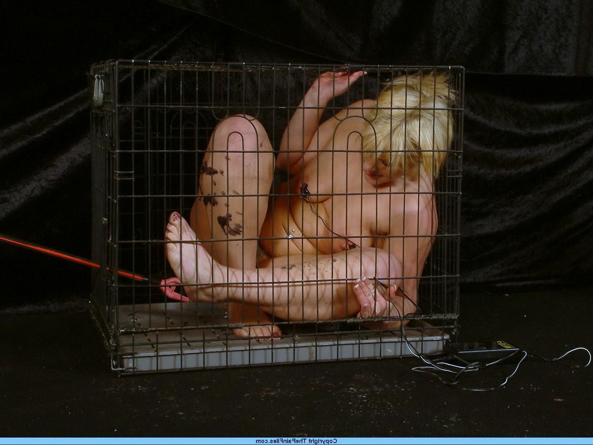 16P Crystel Leis electro bdsm and extreme caged cattle prod punishment to tears of t