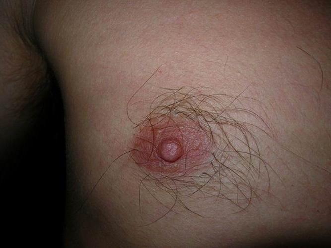 15P girls with hairy boobs and areolas
