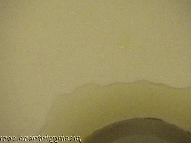 16P Wet pissing girlfriend