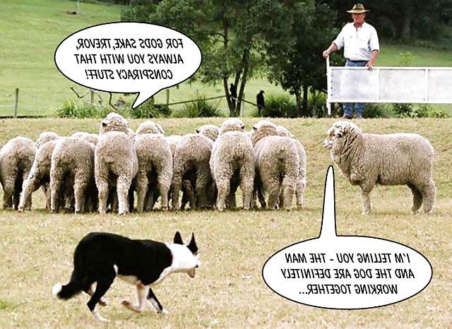 17P Funny 08