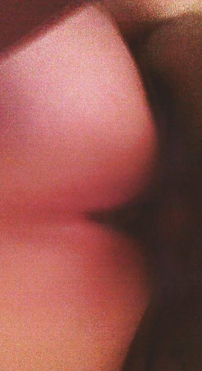 8P Doggy (spy cam)