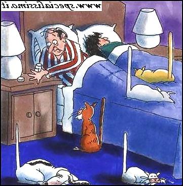 24P Funny sex pics 2