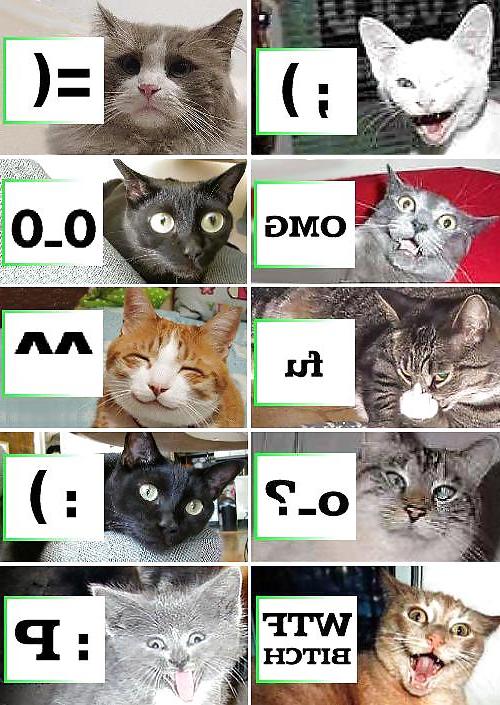 20P Funny 29