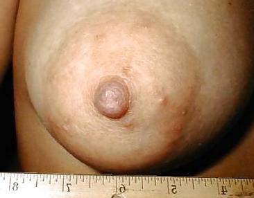 25P For Nipple Lovers