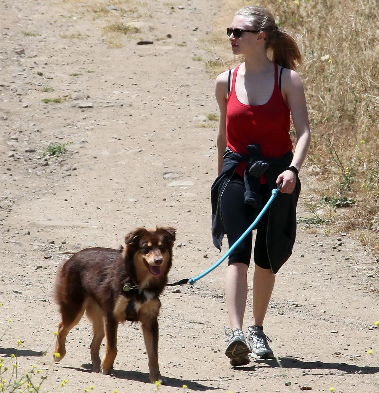 16P Amanda Seyfried in red tanktop  tights hiking in Griffith Park with her doggy an
