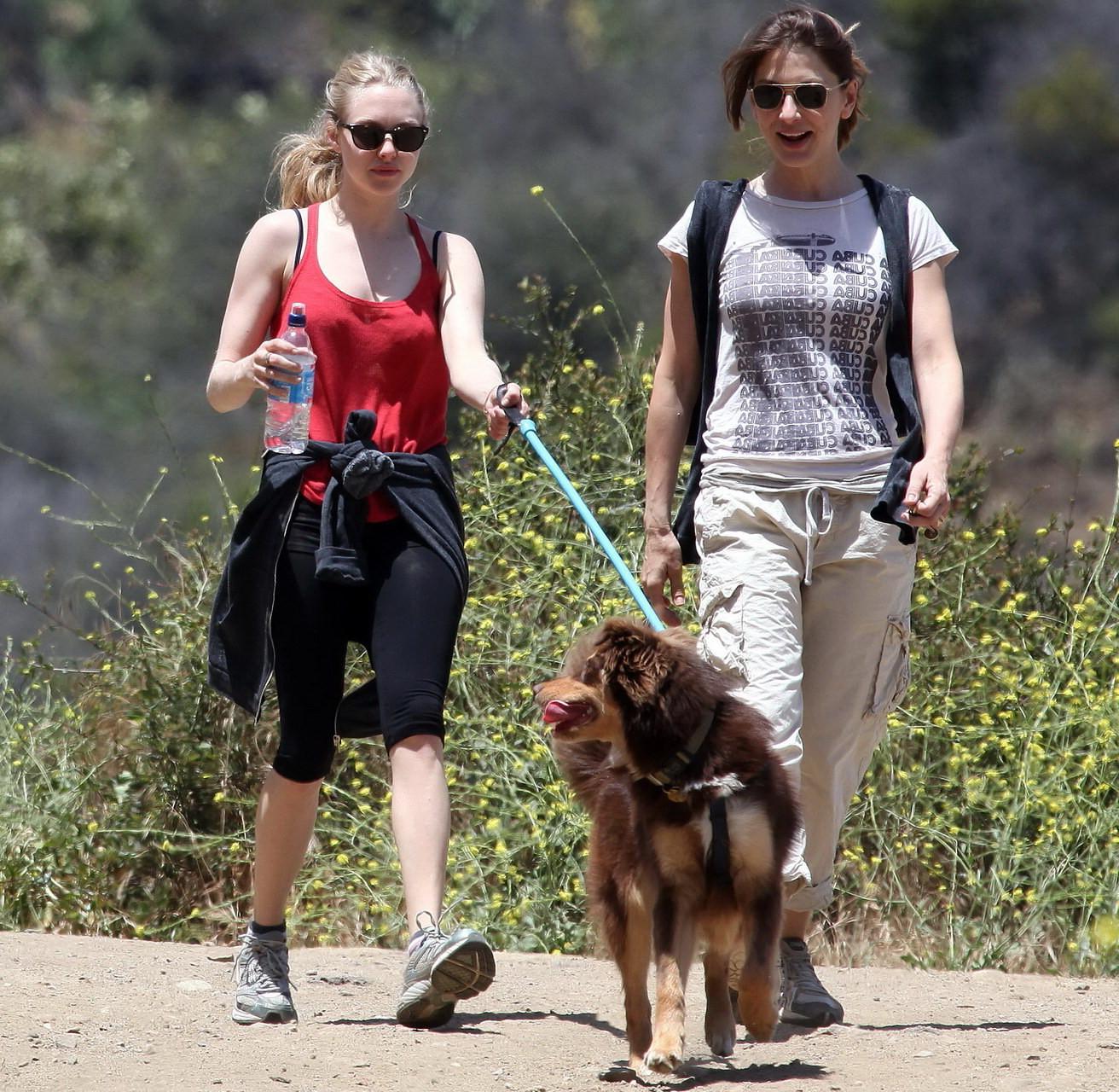 16P Amanda Seyfried in red tanktop  tights hiking in Griffith Park with her doggy an