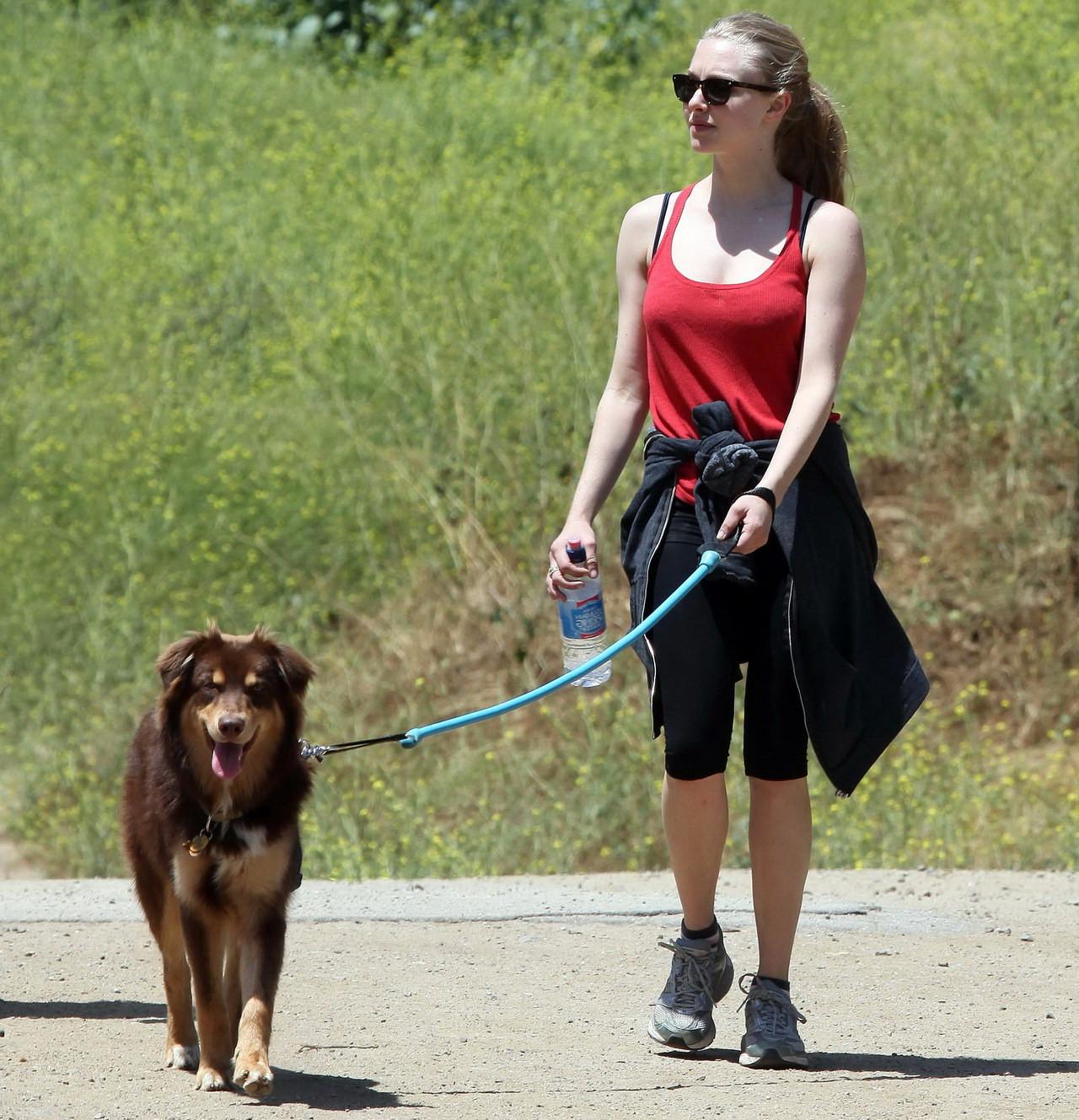 16P Amanda Seyfried in red tanktop  tights hiking in Griffith Park with her doggy an