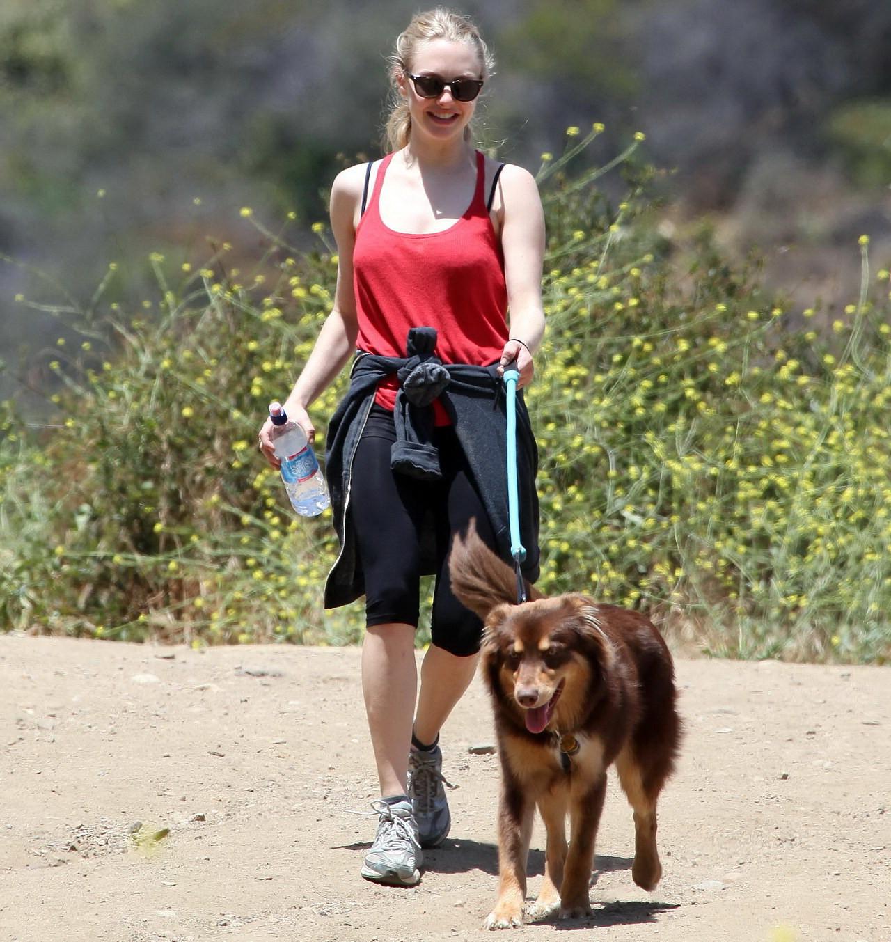 16P Amanda Seyfried in red tanktop  tights hiking in Griffith Park with her doggy an