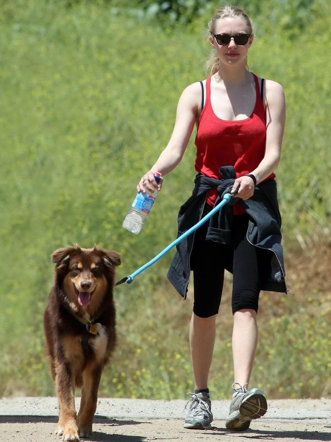 16P Amanda Seyfried in red tanktop  tights hiking in Griffith Park with her doggy an