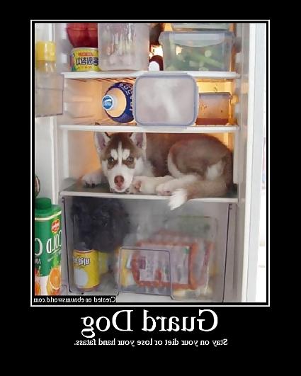 19P Funny 11
