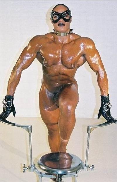 15P female bodybuilders showing off their muscles