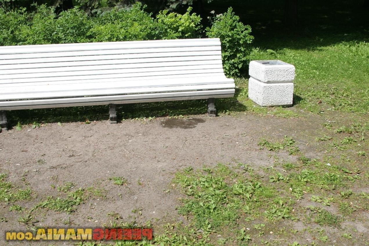 15P Glassed cutie wets her azure sexy knickers and the bench in the park