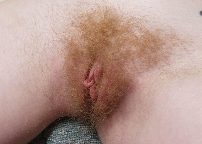 15P Amateur hirsute redhead slut spread