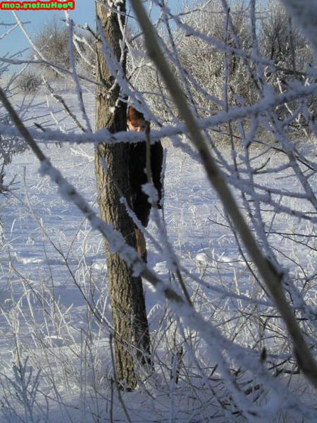 16P Redhead amateur cutie peeing on snow outdoors