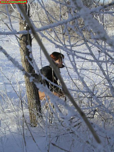 16P Redhead amateur cutie peeing on snow outdoors