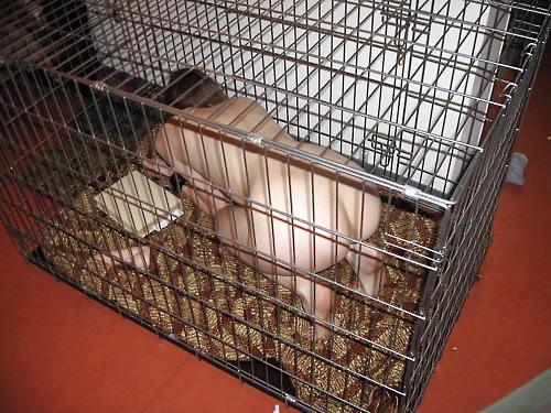 20P Cage 8!