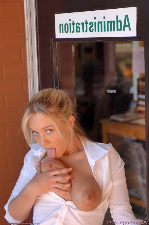 16P Big tittied blonde Alison Angel in miniskirt showing her panties