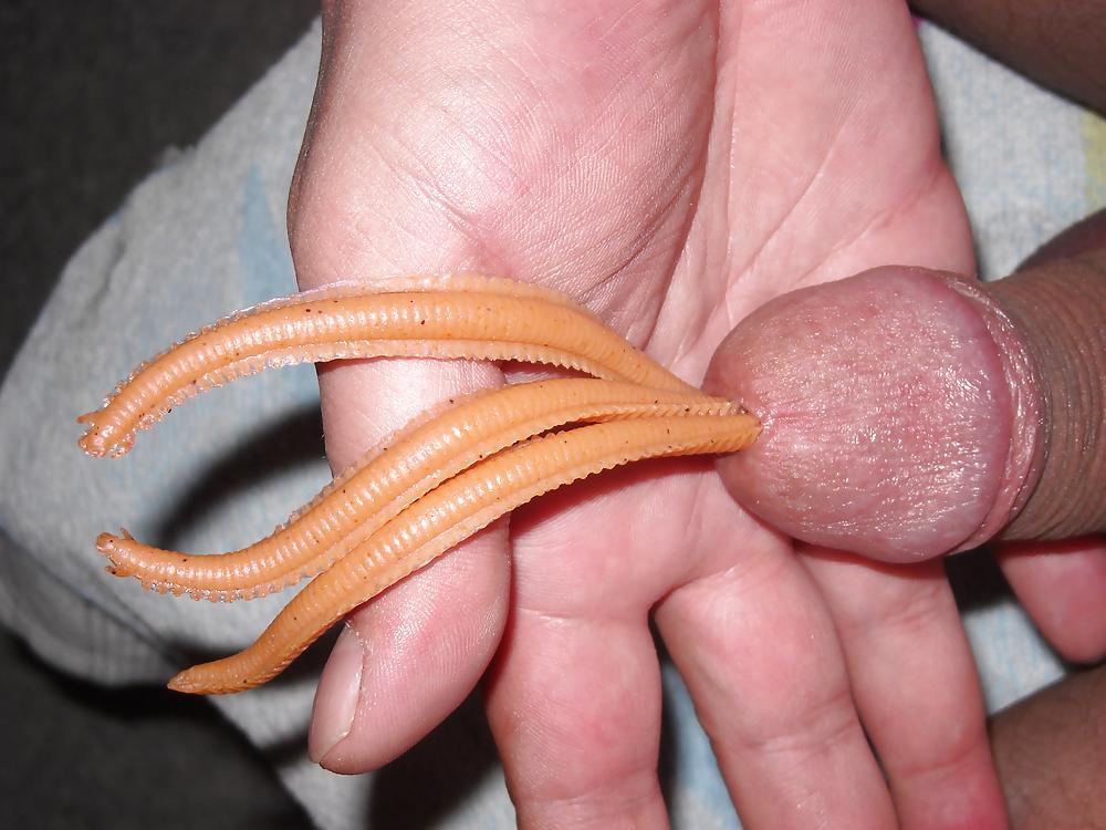8P Penis insertions