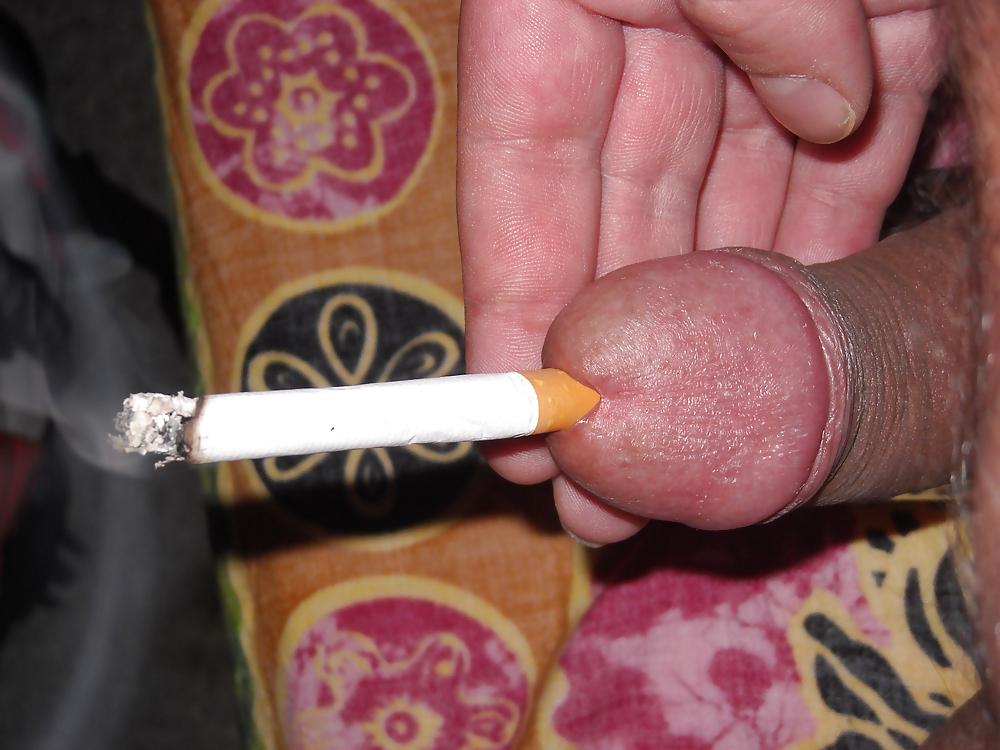 8P Penis insertions
