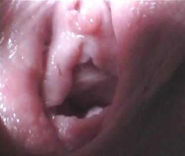 6P Inside Mona, Just Before Shaving 