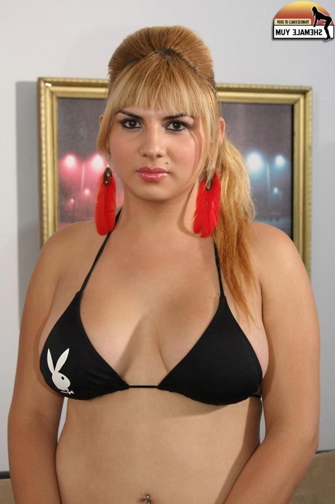 15P Voluptuous hard cock big tits shemale hottie plays