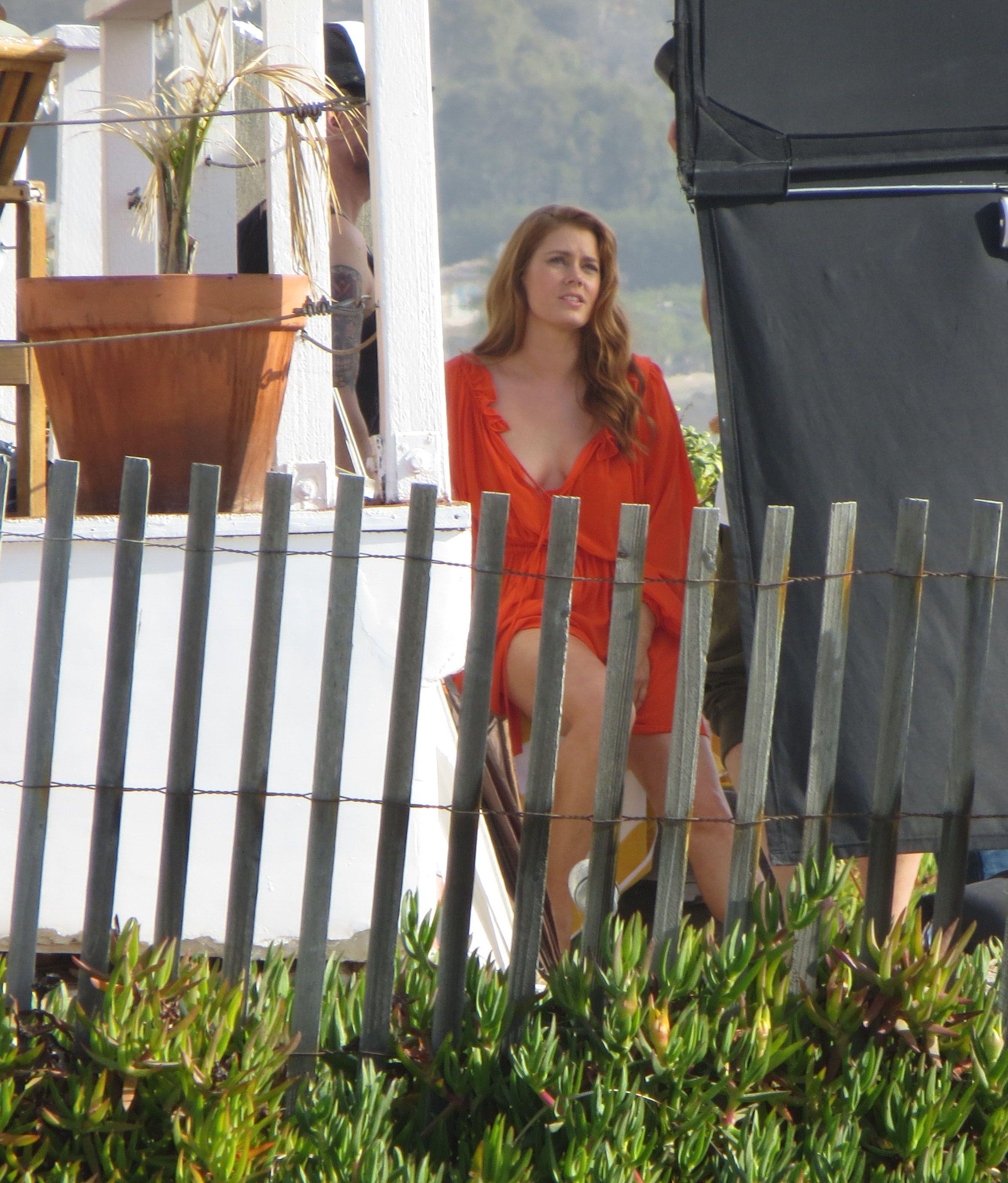 5P Amy Adams Sexy Photos
