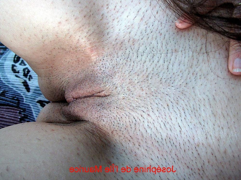 5P Josephine of Mauritius Island all shaved