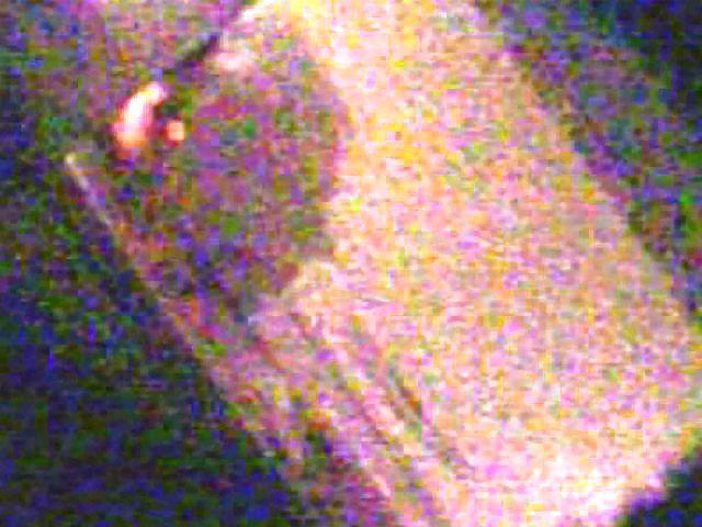 8P My missus on hidden Cam2