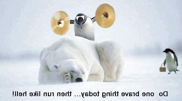20P Funny 20