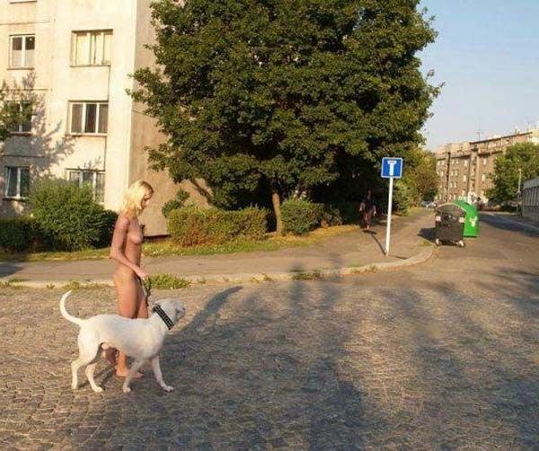 25P All Sizes, All Sexy - Love Me, Love My Dog