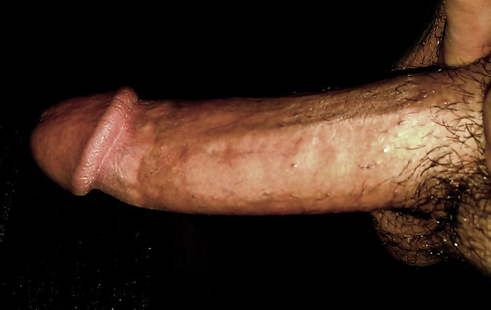 17P Il mio pene