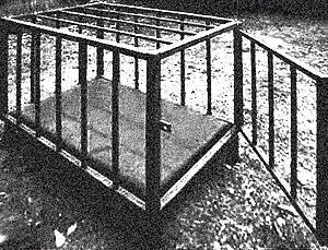 25P Cage 1!