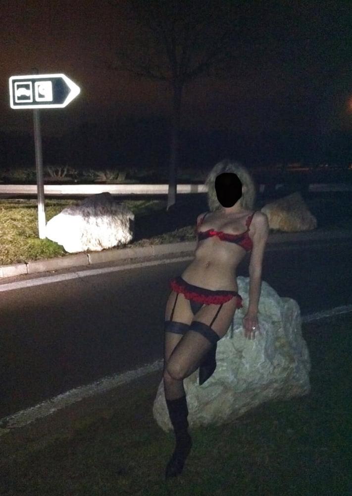 9P MES CHIENNES A DOGGING