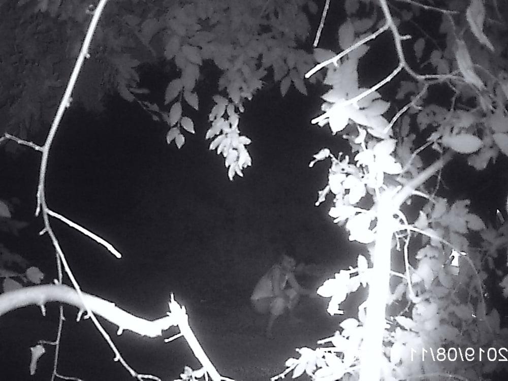 25P peeing in nature hidden camera