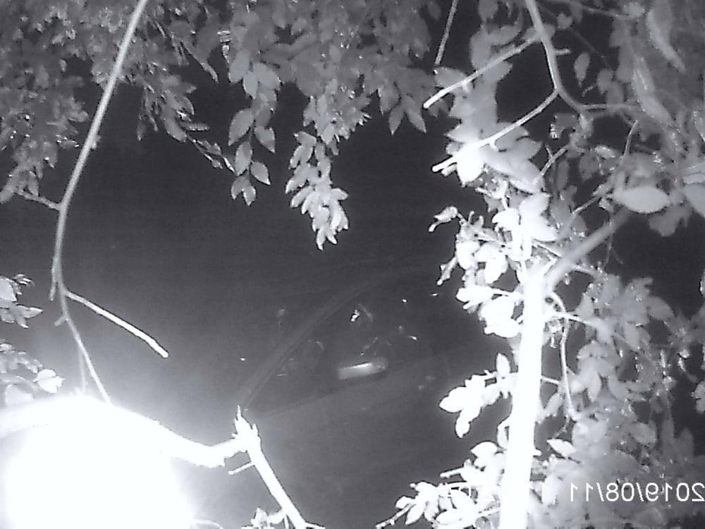 25P peeing in nature hidden camera
