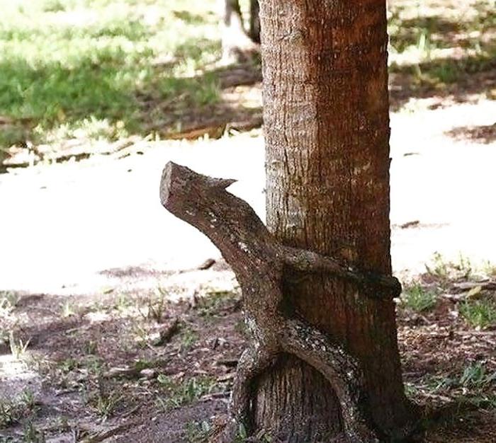 10P Funny sex pictures