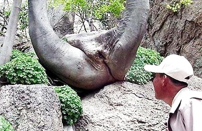 10P Funny sex pictures