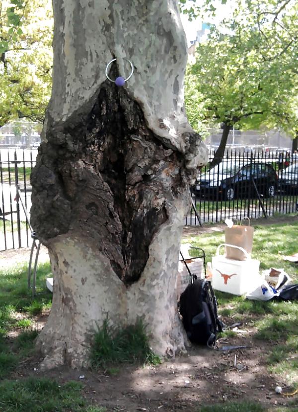 10P Funny sex pictures