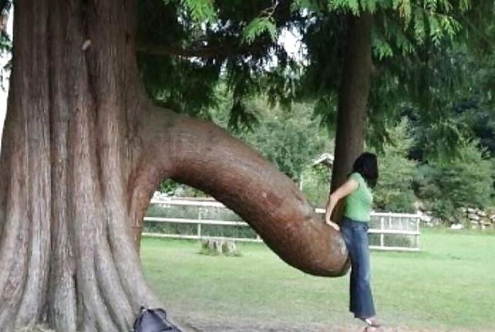 10P Funny sex pictures