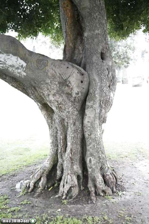 10P Funny sex pictures