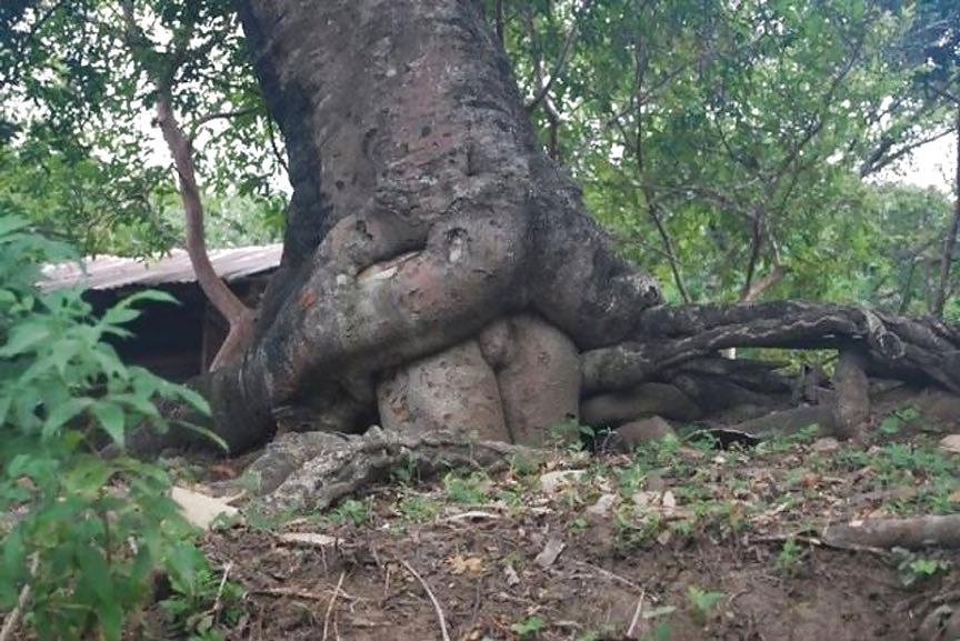 10P Funny sex pictures