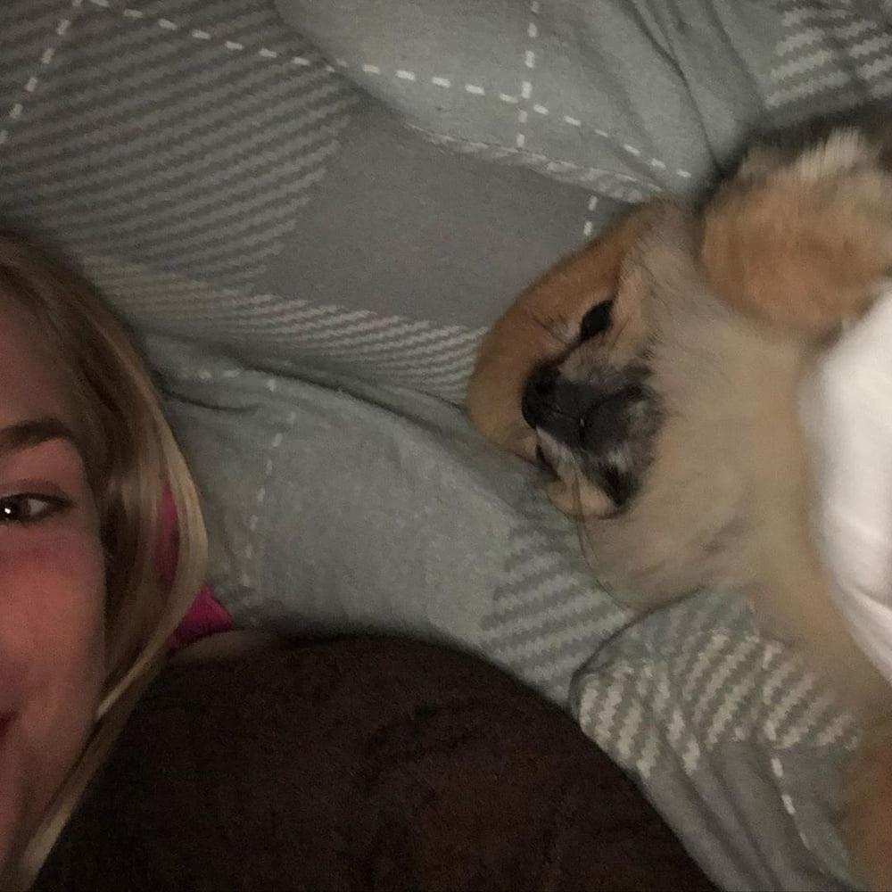 25P Dutch slut girl Elise aka Siswet19 exposed