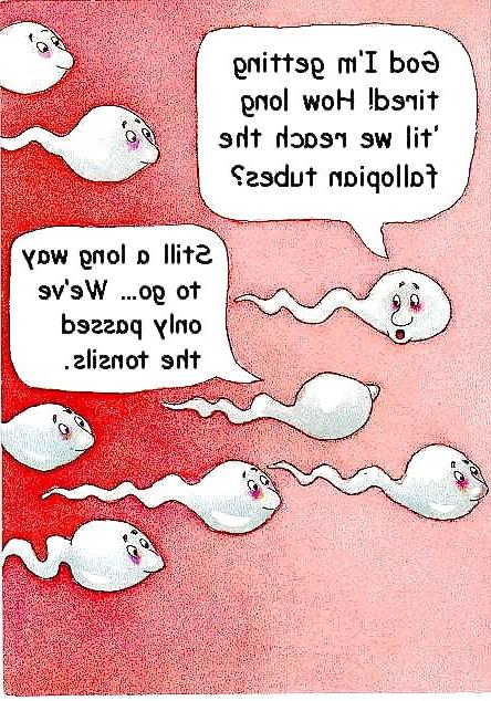 10P Funny sex pics 3