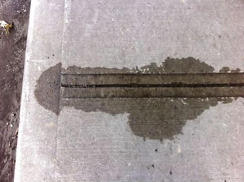 13P Accidental Penis